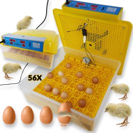 Inkubator za jaja